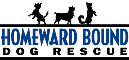 Homeward Bound Logo