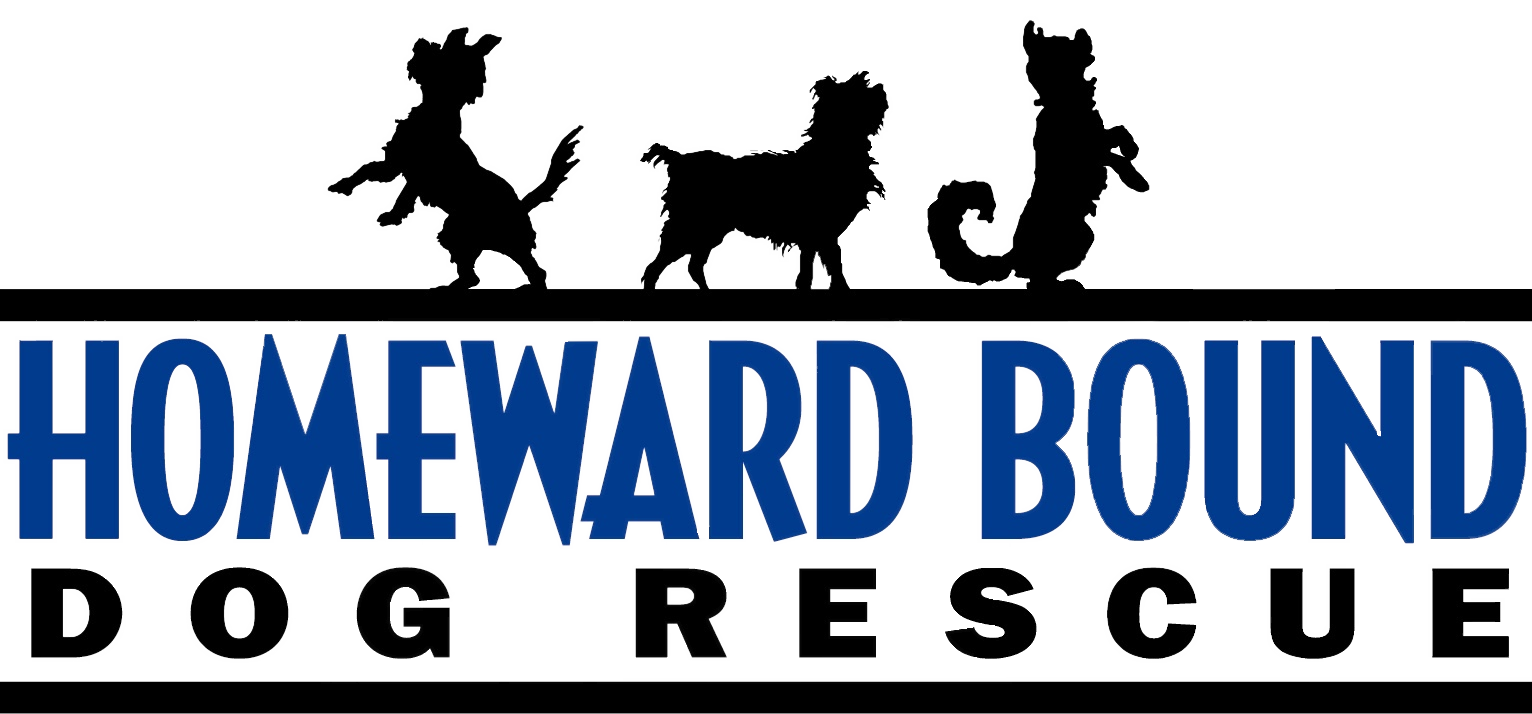 Homeward Bound Logo